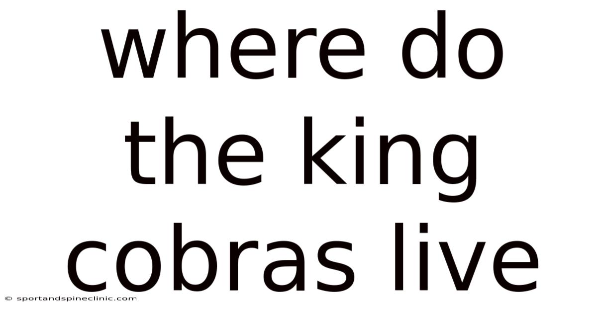 Where Do The King Cobras Live