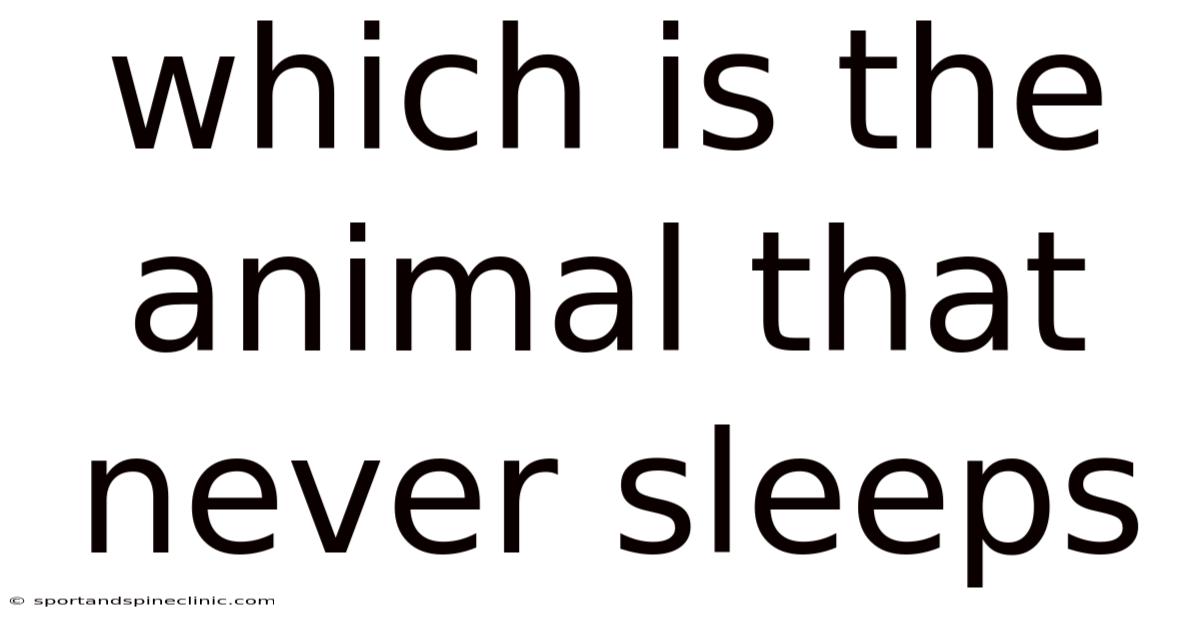 Which Is The Animal That Never Sleeps