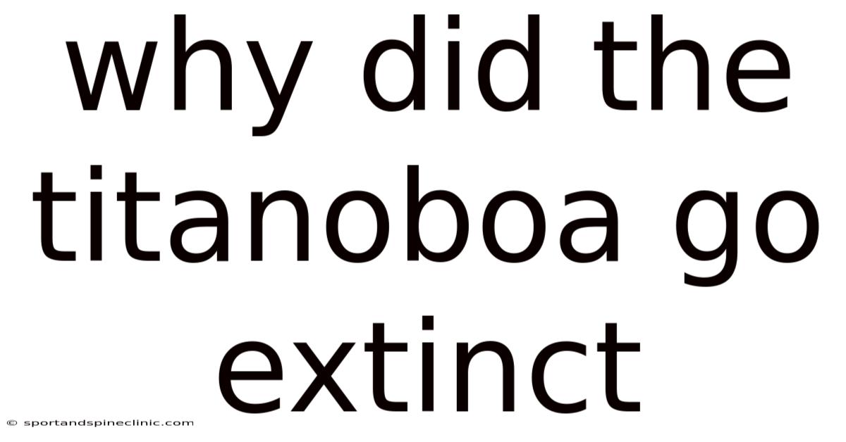 Why Did The Titanoboa Go Extinct